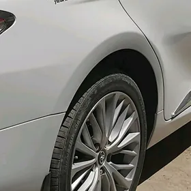 Диска пакышка 18лик