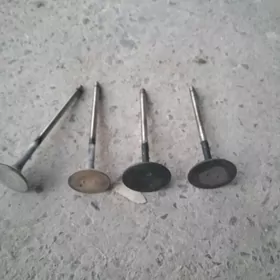 клапан 2.5 мотор 2.аэр