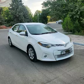 karopga karolla 15 abmen