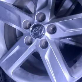 radnoy palta cemry 17 lik