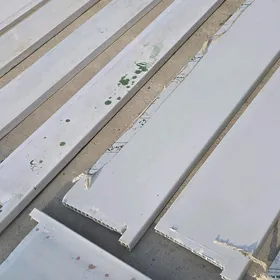 podokolnikler zamoklar