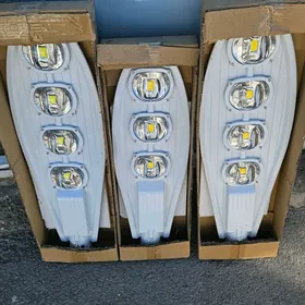 prožektor we çyralar