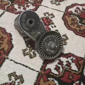 Натежитель