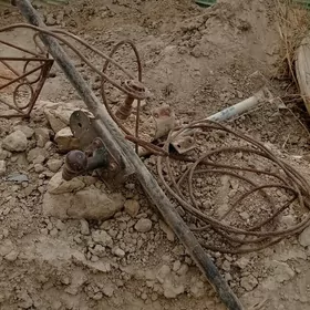 parkop talesga dakylyan