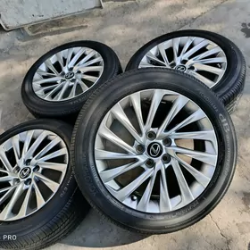 Lexus 17 Disga Pakryşga