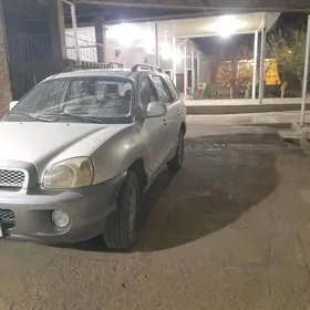 Hyundai Santa Fe 2001