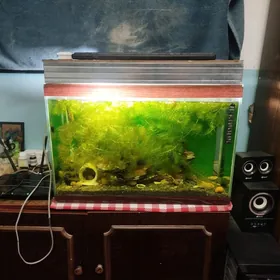 Akwarium wse komplekt