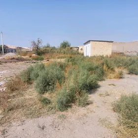 6 соток джай