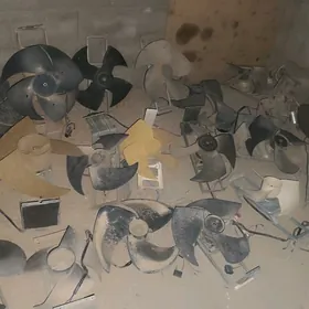 Baraban matorcik lopuslar