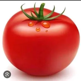 isgar alyas pomidor yygmaly