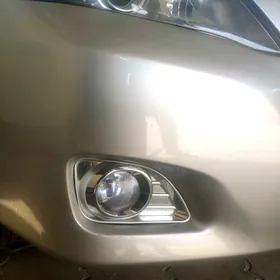 Öküz tumanik kryşga