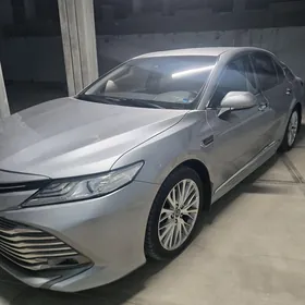 Toyota Camry 2018