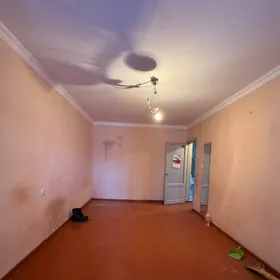 Buzmeyin Gress 1 kom