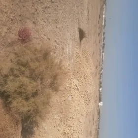 Satlyk Jay Mellek yer