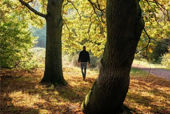 Учёные определили, в каких странах люди сильнее всего ощущают связь с природой