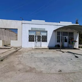 Çärjew etrabynyň Zerger geňeş