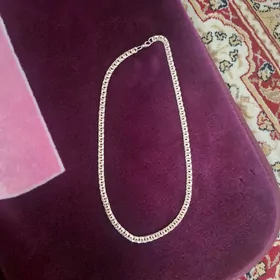 Kardinal Gyzyl kordinal