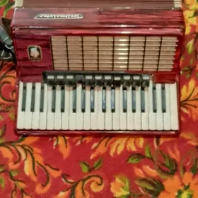 akardoyon waltmeyster