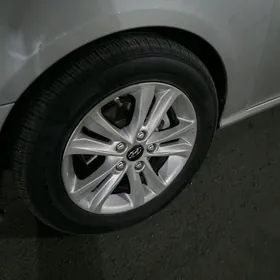 16disga pokrysga taze