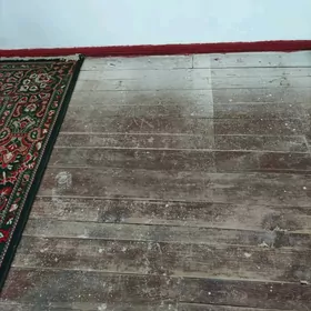 polluk tagta sokup almaly