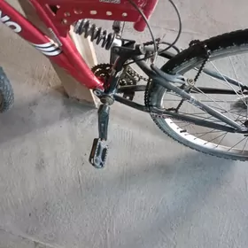 тазе весепид