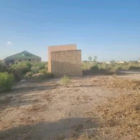 Jylpasyoluk 16 sotuk