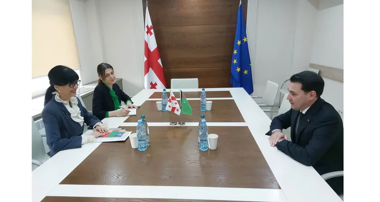 Türkmenistanyň ilçisi Gruziýanyň Döwlet ministri bilen duşuşdy