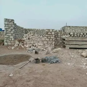 Örümçi ussa gerek