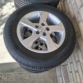 karola exclusiv diska teker