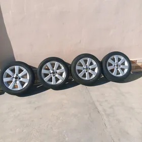 diska pakriska 16 lyk