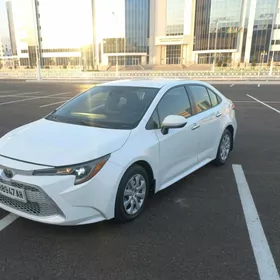 Toyota Corolla 2020