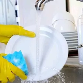 POSUDOMOÝŞISA WE UBORŞISA