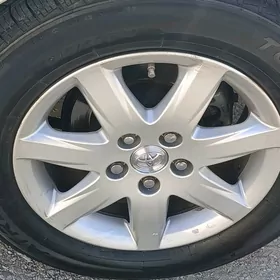 R16 orginal diska pakrishka