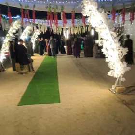 Toý Howly Bezeg Afrmilenya 202