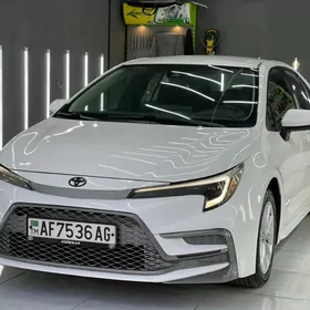 Toyota Corolla 2021