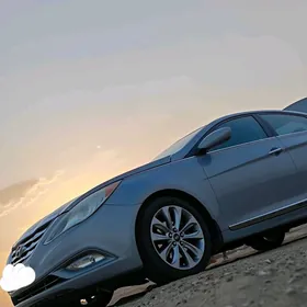 Hyundai Sonata 2011