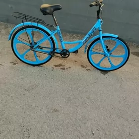 TIGIR 24LIK BEZ KAMYR