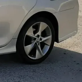 Palata radnoy se diska