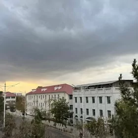 533kwart Swoboda beyik potolok