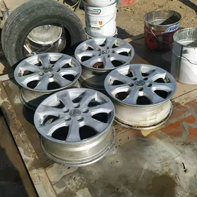 okuz kelle koke disga R16