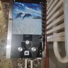 Аристон калонка