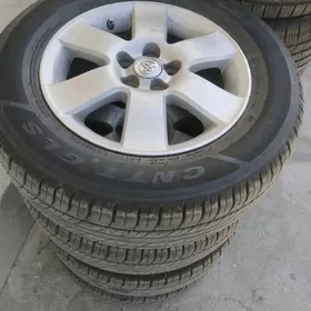 karolla diska ARGINAL 15