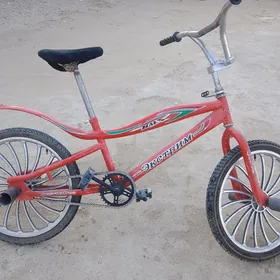 welisoped велик