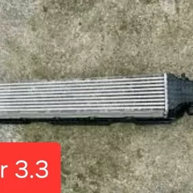 stinger interkuler genesis