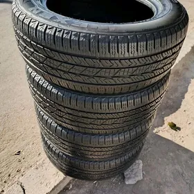 235 60 17 Pakryşga Nexsen