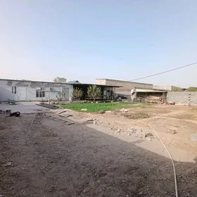 Satlyk jay herrikgala 6sotok