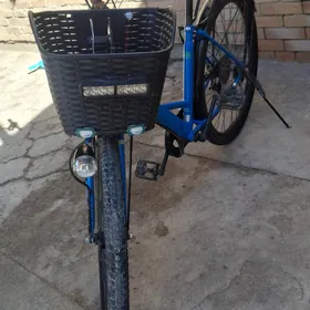 Япон Велик 27