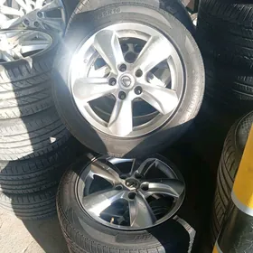 16 lik diska pakriska