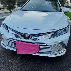 Toyota Camry 2019