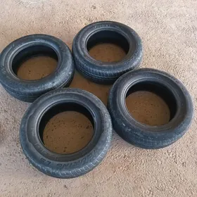 текер 15 лик